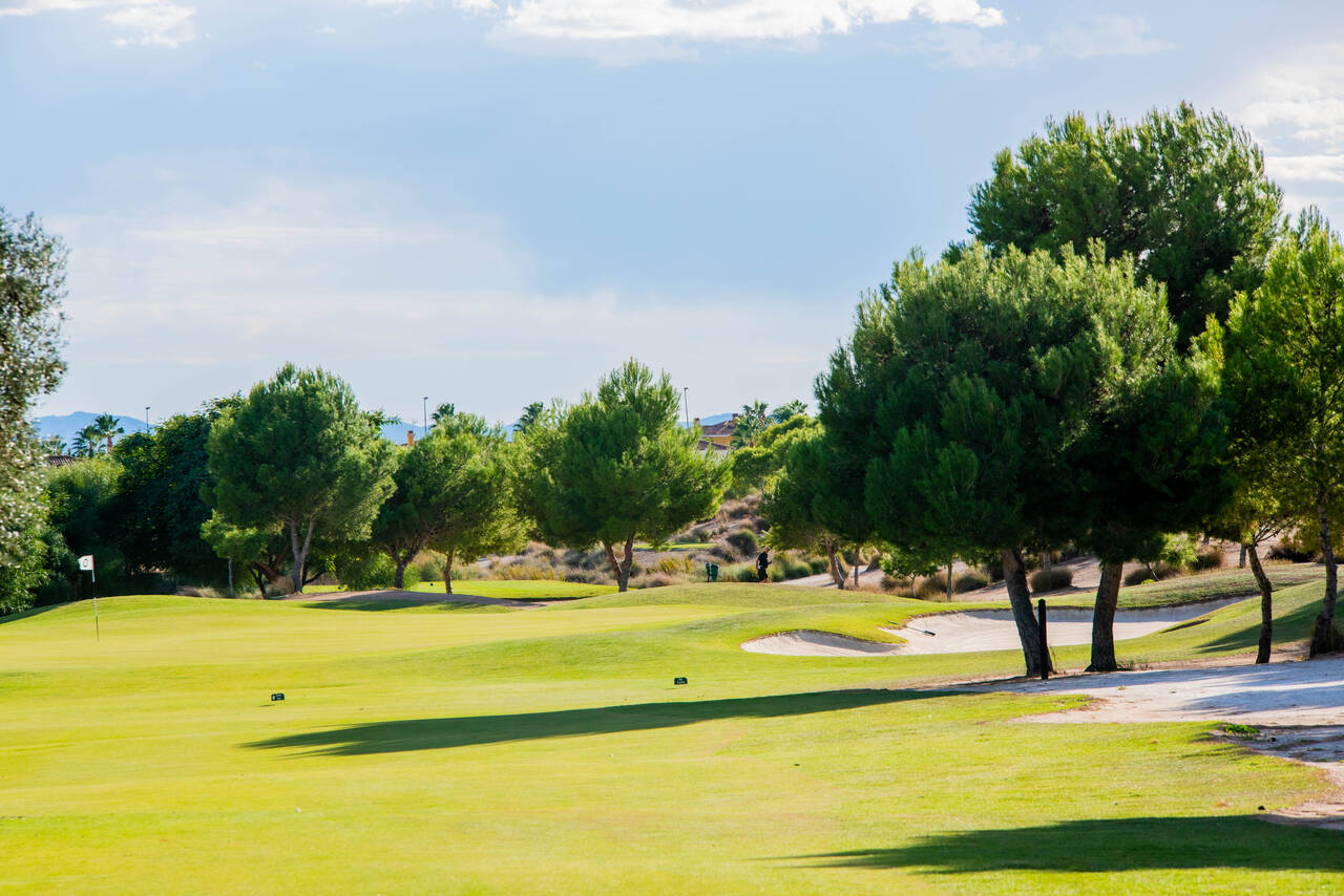 Altaona Golf