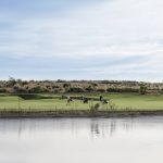 New Sierra Golf-1